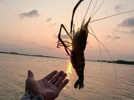 广东网红钓鱼基地,淡水战斗机大土鲮竟然泛滥成灾,下竿就能狂拉新手小白也能爆护#钓鱼 #户外钓鱼 #户外美食 #粤饮粤轻松 #春风减负计划