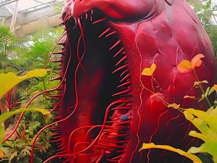 食人花真的存在吗?3种诡异植物,充满神秘色彩