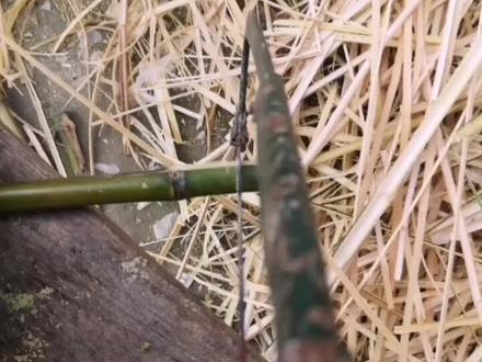 自制唐门暗器#小时候#玩具@抖音小助手