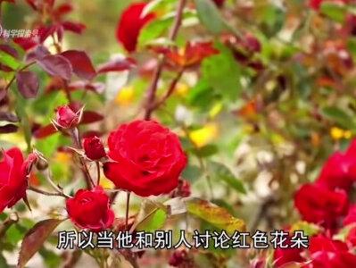 十大悖论之——色盲悖论!#科学脑洞上分赛 #奇妙知识在抖音 #科普一下 #抖音青少年科普创作计划