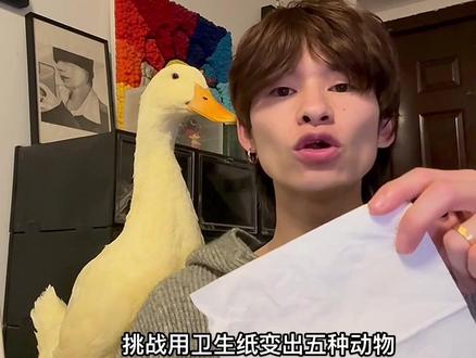 好看吗这魔术😂 #鸭子 #魔术 #萌宠出道计划