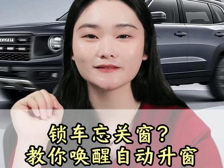 开哈弗锁车忘关窗?教你唤醒自动升窗#哈弗 #长城汽车 #国产车