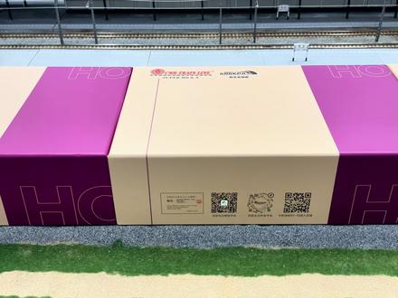 重磅上新!CMR火车模型2026款HXD1型电力机车蓝精灵即将上市#CMR火车模型 #hxd1电力机车 #蓝精灵 #火车模型 #中国铁路