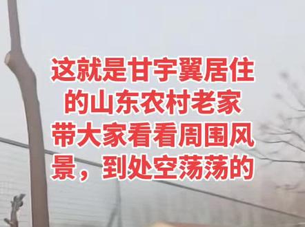 山东德州农村老家风景 #甘宇翼 #寻亲