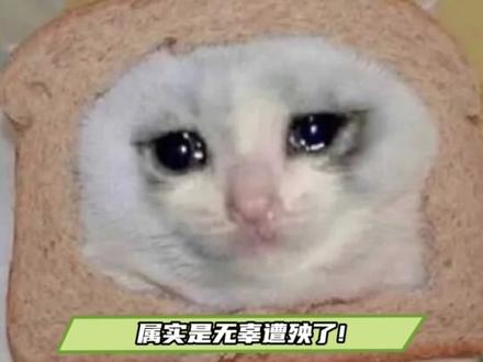 我愿称之为本年度最倒霉的院校!#南京医科大学 #倒霉蛋