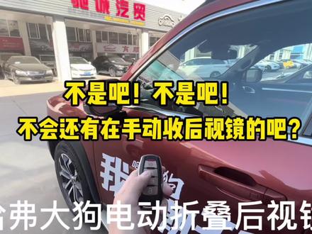 不是吧不是吧~这台大狗不会还有人在手动收后视镜的吧?#每天一个用车知识 #汽车好物推荐 #哈弗大狗