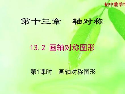 13.2 第1课时 画轴对称图形