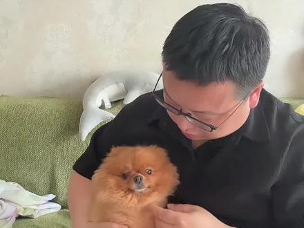 这是个澄清视频 世上没有怕老婆的男人,只有尊重老婆的男人#搞笑视频 #东台方言搞笑视频 #宠物陪伴时光