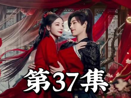 白日提灯第37集-9