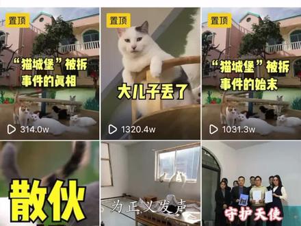 到底是谁被坑了?关于我和前合伙人散伙的情况说明(下) #猫城堡被拆了 #梦幻猫城堡 #关爱流浪猫