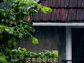 《雨霖铃》31集预告:展昭调查私生子找动机,邵继祖执念迎娶玲珑