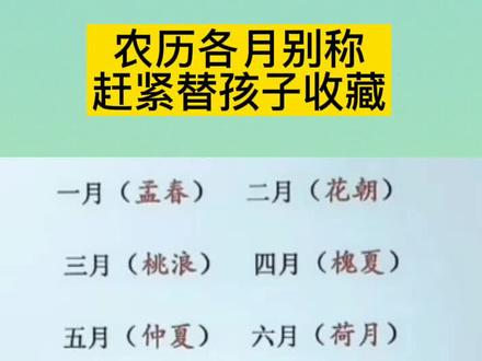#抖音图文来了#小学语文知识点 @抖音小助手