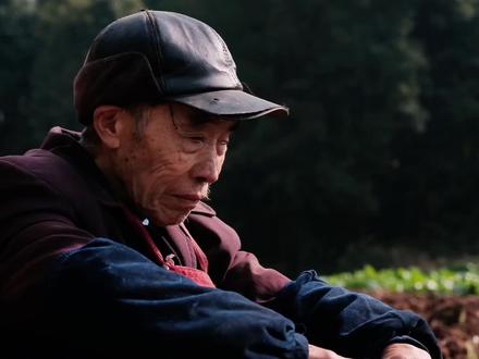 有些人,一辈子都在为别人活着。 我的幺爷爷,干了一辈子活,
却很少被认真看见。
今天,我想为他留一个镜头。
#我的乡村生活 #乡村守护人 #记录老人晚年生活 #亲情#青年创作者成长计划