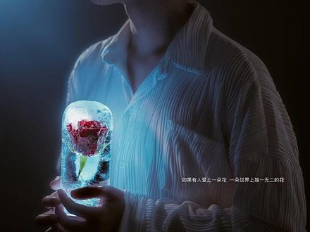 小王子创意,在家制作属于自己的冰封透明玫瑰#小王子#创意摄影#拍出氛围感#宅家拍大片