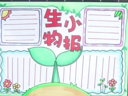 生物手抄报。#手抄报 #小报 #儿童画