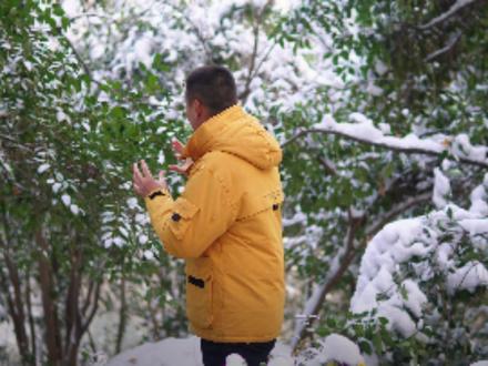 女贞:秋冬进补常用的女贞子,竟然来自这棵树! 路边常见的女贞,竟然是中药女贞子的家,女贞子该如何使用,又藏着什么样的故事呢?#抖音精选 #创作者伙伴计划 ##抖音知识年终大赏 #青年创作者成长计划 #女贞子 @抖音科普 @抖音 @西瓜视频 @抖音知识 @抖音精选小助手