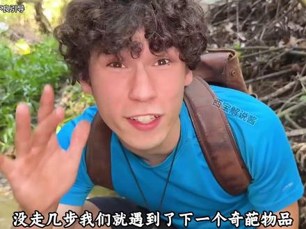 下水道藏鳄鱼毒蛇,还有非法武器? #剧情