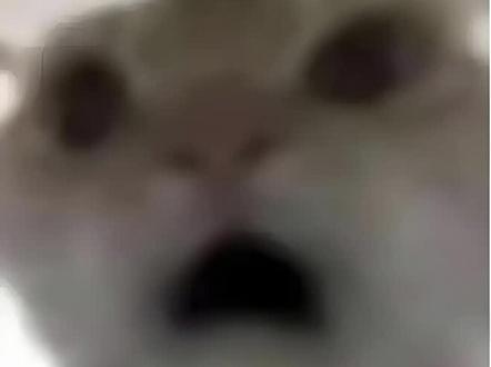 三角洲新赛季开启,水淹大坝下架,九格任务开始。#三角洲行动 #三角洲新赛季 #水淹大坝 #鼠鼠我呀 #鼠鼠跑刀