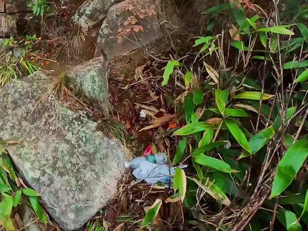 今天我们走灵山水柘线前一段,白云尖冲南峰塘,再返回水晶山停车场。#徒步登山#环线