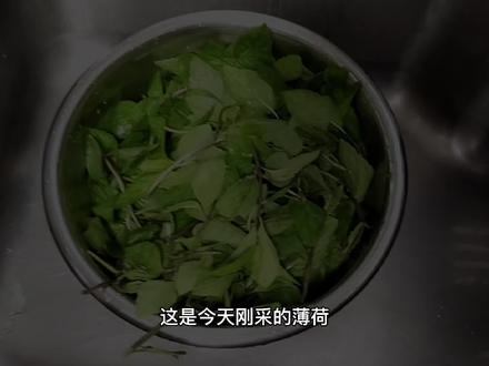 菜园采薄荷,媳妇制作薄荷饼,简单快速,太美味了