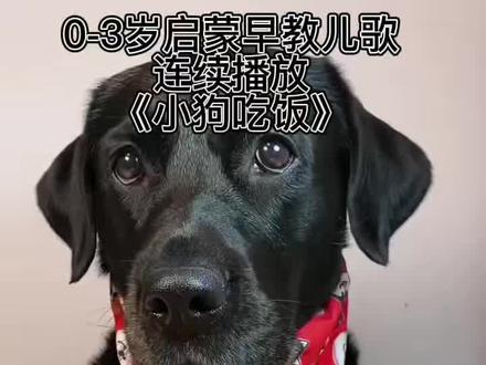 0-3岁启蒙早教儿歌连续播放《小狗吃饭》#狗狗吃饭声控 #启蒙早教儿歌 #儿歌100首最火 #儿歌精选大全 #童谣儿歌
