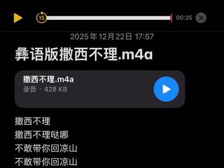 #撒西不理哒呐 #方言版撒西不理 #彝族夹子 #彝族 #wlw 标签🏷️多多的加 玉米饭 坨坨头打错了家们人