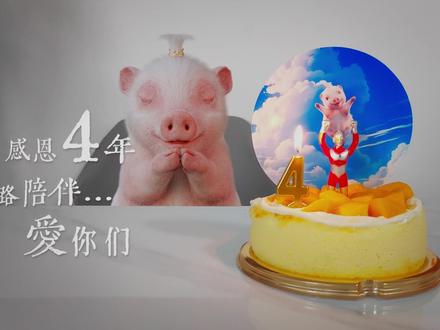 感恩陪迈儿一路走来的粉丝,小迈4岁啦!#生日仪式感 #父亲节快乐 #父爱无声 #轻漫计划