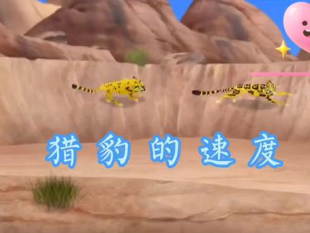 小狮王守护队3 #儿童动画