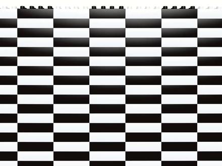 【黑白】乐高我的世界21180守卫者!觉得赚了! #乐高积木搭建 #乐高 #积木 #我的世界