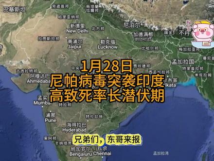 尼帕病毒突袭印度!75%致死率+45天潜伏期#国际局势分析 #印度尼帕病毒 #生物安全 #全球防疫 #病毒危机