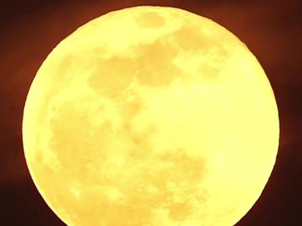 在山城重庆赏超级月亮,红星新闻正在直播,你想和谁一起看?