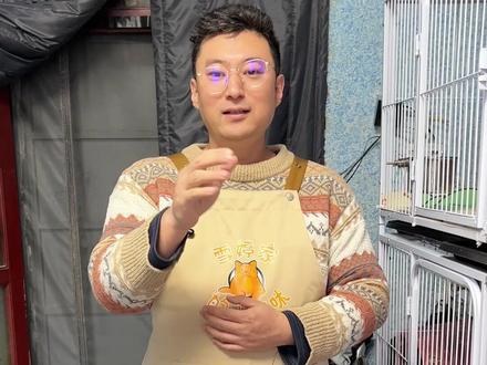 铲屎官搬家,猫咪到底是个什么心情呢? #万物可爱计划 #猫咪 #金渐层 #蓝金渐层 #雪婷家的猫