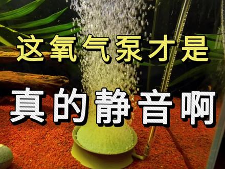 这么大出气量的氧气泵,声音就这么点大?这才是真正的静音啊#增氧 #氧气泵 #增氧泵#静音增氧泵 #静音氧气泵