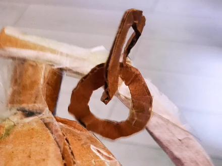 #手工 #手雷手工 #98k折纸 和娃做了一上午的纸质98k和手雷 幸亏老母亲我还心灵手巧一点 要不然这不上幼儿园天天拆家的小孩你真是受不了