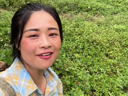 现在牛仔听话懂事不会在凶我了#放牛 #我的乡村生活