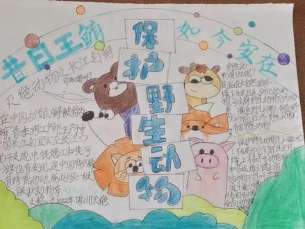 保护动物和谐共存,知识小报宣传标语,孩子们棒棒的。
