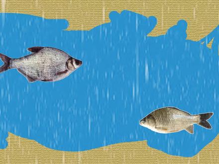 谁说冬季钓鱼就一定要钓灵?这3种情况钓钝一点准没错#钓鱼 #冬季钓鱼指南 #钓灵还是钓钝 #冬季野钓鲫鱼技巧 #分享钓鱼知识