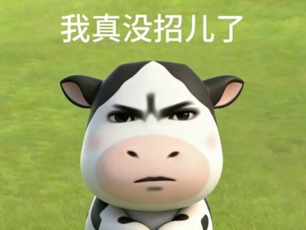 长白山:你拉我 拉我共创啊 #长白山 #旅游 #搞笑 #万万没想到