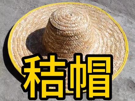 “麦秸是个宝,农民离不了;掐个辫子缉个帽,灌油吃盐有钱了;灾年能籴粮,丰年添衣裳。” 说的是做秸帽划着。
牛吃烂秸帽——肚里圈圈不少 秸帽端水 ———— 扑衍加嘀嗒,说得是秸帽用处多。
秸帽,能遮阳来能挡雨,当坐垫能扇风,是庄稼汉地里做活顺手要拿的物件。
秸帽是草帽的一种。草帽是指用水草、席草、麦秸、竹篾或棕绳等物编织的帽子,帽檐比较宽。家乡人习惯戴麦秸做成的草帽,因而把所有的草帽都说成秸帽。
相传草帽始由南唐董侍卫的女儿董月英掐制,后经不断改进,使这一工艺制品在民间流传下来。据《清明上河图》知,北宋时草帽已很普遍。清光绪《鹿邑县志圹物产》里也有详细记载。
做秸帽先要辫“麦秸辫子”,这个活省力但费时,男女老少都能,屋里屋外都行,放羊谝闲两不误。用七根挑选好的麦秸杆,压扁后交错编成一二寸宽的长条子,能编多长就尽量编多长。草辫子要光滑平整,不能漏风,宽窄一致,接头要处理得恰到好处,不能疙里疙瘩。
秸帽成形的工序是缝制。把合格的麦秸辫子按螺旋样叠起,前茬压后茬一厘米到一点五厘米宽,用白线螺旋状缝连起来,针脚密疏合适。先从帽顶开始,再到帽头(头戴的部分),最后到帽沿。帽形要圆不能扁,针脚要疏密有致,总体大方,结实耐用。造型美观,不折不断。
“一针扎三辫,里外不露线。”做秸帽是个精巧手艺,"镀金镶银”——黄帽似金,白帽如银,指的是成品秸帽要熏硫。手工草帽的造型有鞍桥式、笠式、礼帽式、博士帽式、楼角式和儿童花草帽等。机制草帽式样更多,有适应各地群众风俗习惯和爱好的工农帽、绣花喷花青年帽、绣花喷花娃娃帽等100多个花色品种。
头戴秸帽,在二十世纪五十至八十年代,几乎成了农业学大寨的标志性形象。就像山羊肚毛巾、乌毡帽一样,标配一族。就连1988年南沙赤瓜礁海战后,秸帽也是水兵们的标配。
秸帽如今在村里有些不太吃香,很可能就此成为历史,但它的贡献谁也抹杀不了。在时装领域,秸帽还能不时的出风头。比如视频里的秸帽,一顶能卖到8000多块,帽子还是那个帽子,只是帽绳出自服装大师之手,另有品牌商标。世上除过多数为生活奔波的普通乡亲外,还真有些人最大的熬煎,是钱多得不知道该咋式花。
#上热门