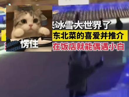 白敬亭居然也是昨天去的冰雪大世界我居然没看见,他滑滑梯也是咕勇下去的,我试了两个都是太卡了!