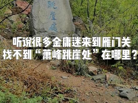 雁门关为什么会有萧峰跳崖处,位置在哪里? #旅行 #天龙八部 #武侠 #金庸武侠