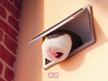 周一听熙熙夹子音 #十个勤天 #十个勤天做大做强 #鹭卓 #李耕耘 #陈少熙