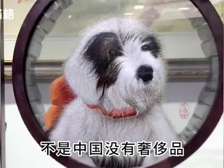 到底是谁说中国没有奢侈品的?#苏绣 #非遗 #鬼工球 #中式嫁衣 #dou是综艺安利官 #娱乐评论大赏