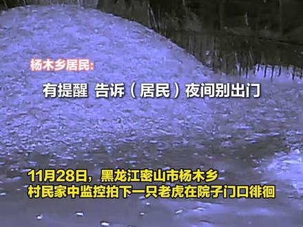 老虎夜间在居民家院门口徘徊被拍到 乡里发现多处老虎脚印 搜查人员正沿迹寻踪