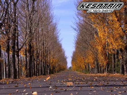 雅马哈TMAX560"黄土版"评测-转自#芥末无味 #TMAX560测评 #TMAX530 #骑行感受#轩Sir不是叔