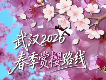 除了武汉大学,还有哪里能赏武汉的樱花?#西游兔 #赏樱花 #武汉旅游 #旅游推荐官 #旅游攻略