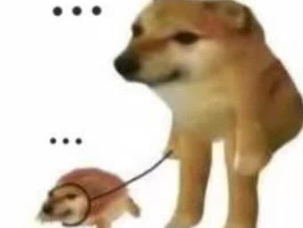 这也能扯上玛雅人预言😂#吐槽 #神人