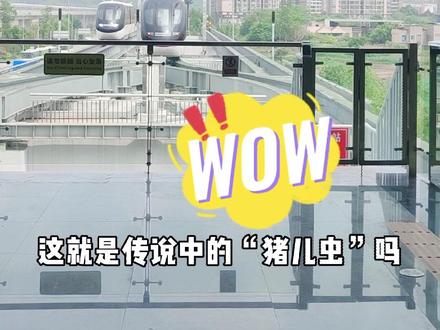 #璧山云巴 初体验,主播带你一起乘坐“猪儿虫”!#重庆dou知道