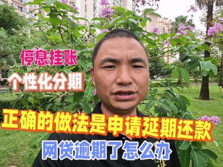 网贷逾期了怎么办,正确的做法是申请延期,停息挂账,不要躺平 #网贷 #网贷逾期 #协商还款 #停息挂账 #花呗 #借呗 #网商贷 #催收电话