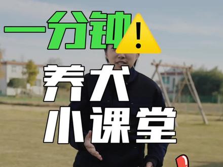 狗狗睡觉放屁磨牙抽搐打呼噜,到底是咋回事?#知识创作人 #狗狗 #训犬 #宠物知识